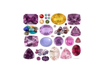 Bajra Suppliers
