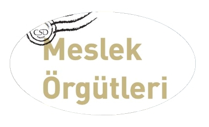 ANKARA BAROSU 